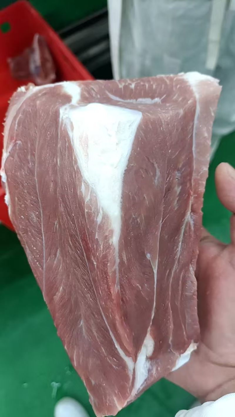 扇骨，各个规格西施骨扇子骨，需要什么规格带肉率联系我