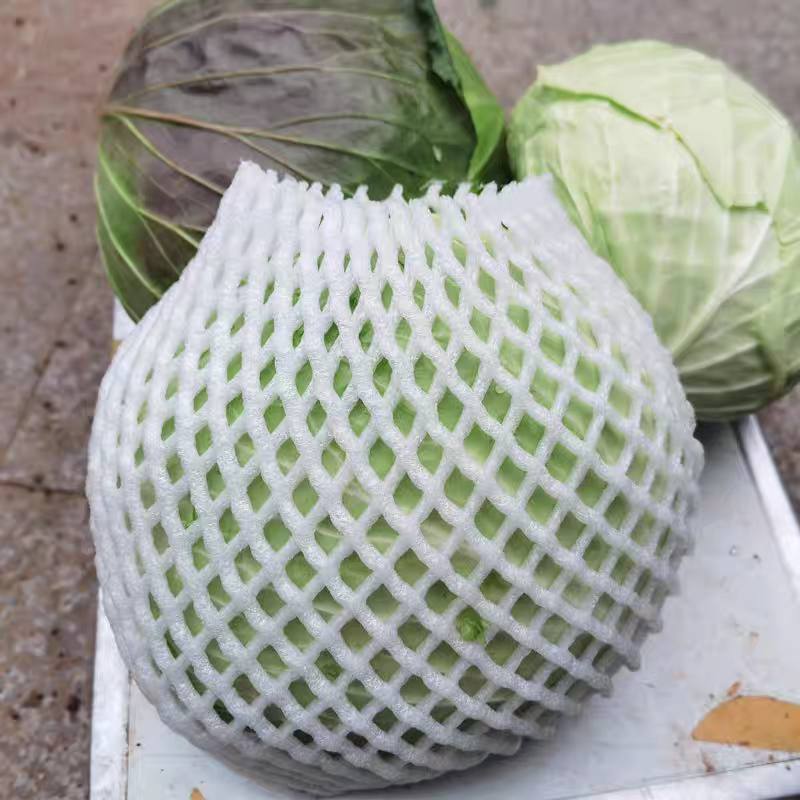 《甘蓝》扁包菜/圆包菜/中甘甘蓝/品种齐全/欢迎来电合作