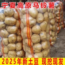 《宁夏土豆》黄心土豆/红皮土豆/马铃薯/品种齐全自家种植