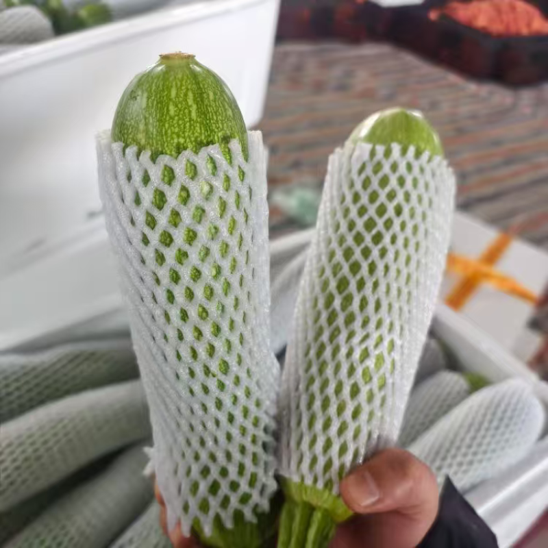 云南精品绿皮西葫芦大量上市品质保证量大从优一手货源