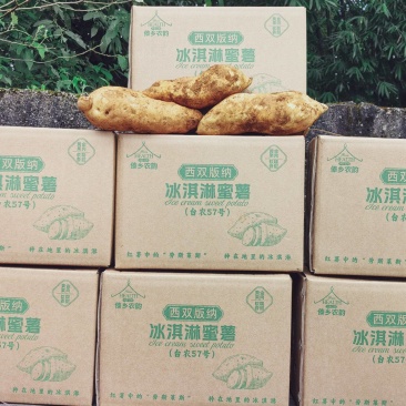 西双版纳（台农57号蜜薯）