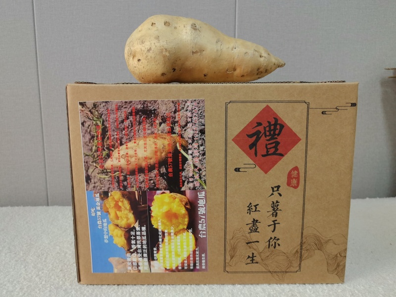 西双版纳（台农57号蜜薯）