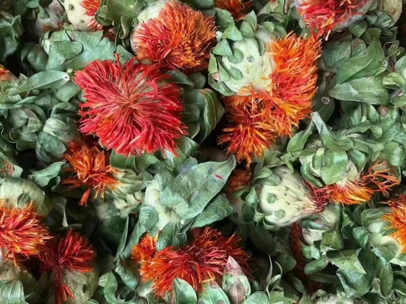 红花朵红花果地摊展销会货源橙菠萝长丝花西红花草红花刺红花