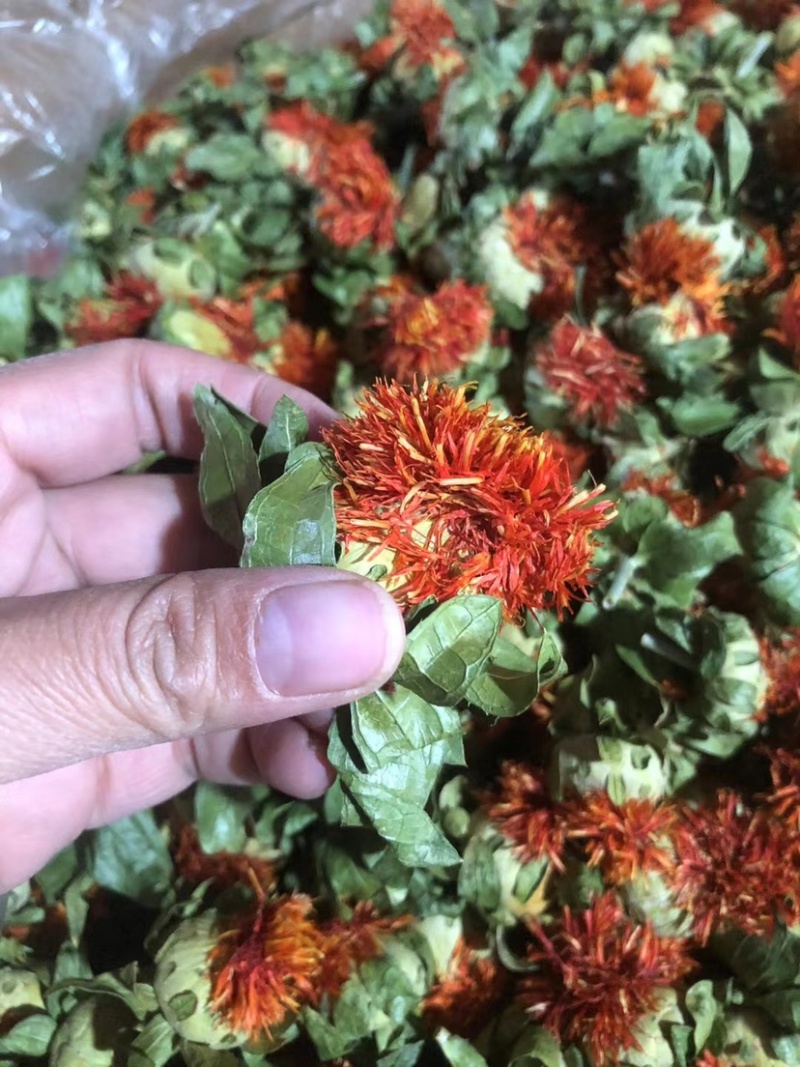 红花朵红花果地摊展销会货源橙菠萝长丝花西红花草红花刺红花