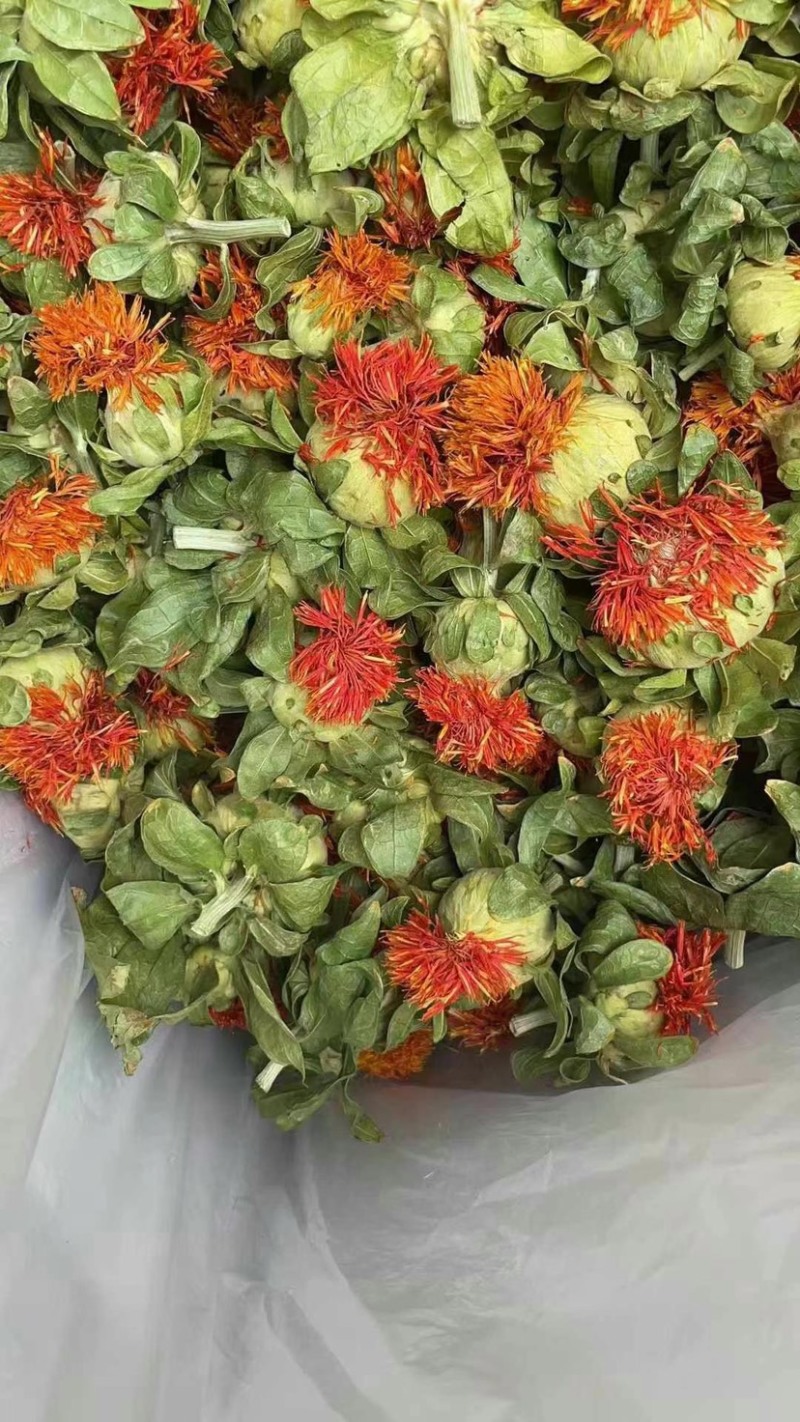 红花朵红花果地摊展销会货源橙菠萝长丝花西红花草红花刺红花