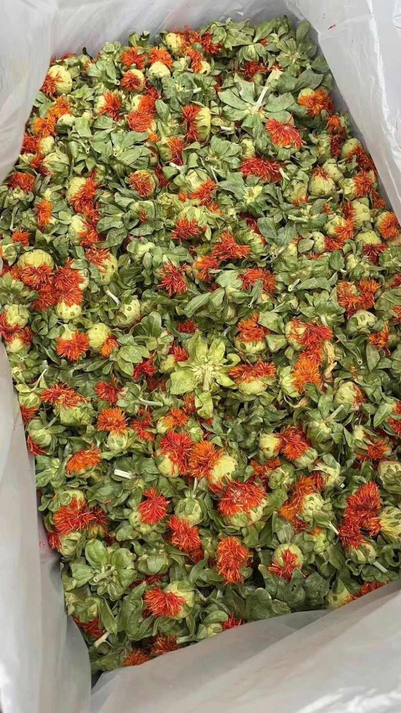 红花朵红花果地摊展销会货源橙菠萝长丝花西红花草红花刺红花