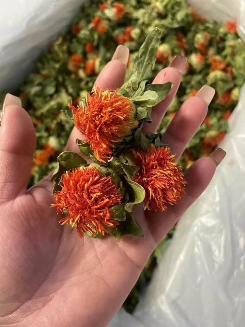 红花朵红花果地摊展销会货源橙菠萝长丝花西红花草红花刺红花