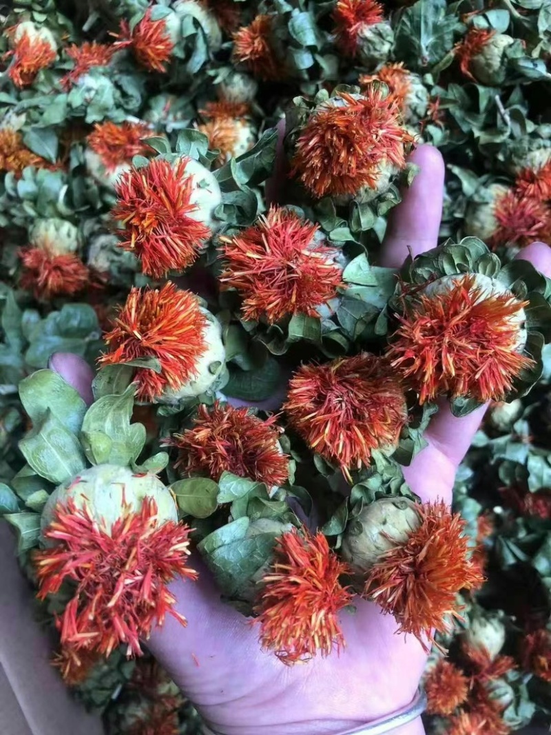 红花朵红花果地摊展销会货源橙菠萝长丝花西红花草红花刺红花