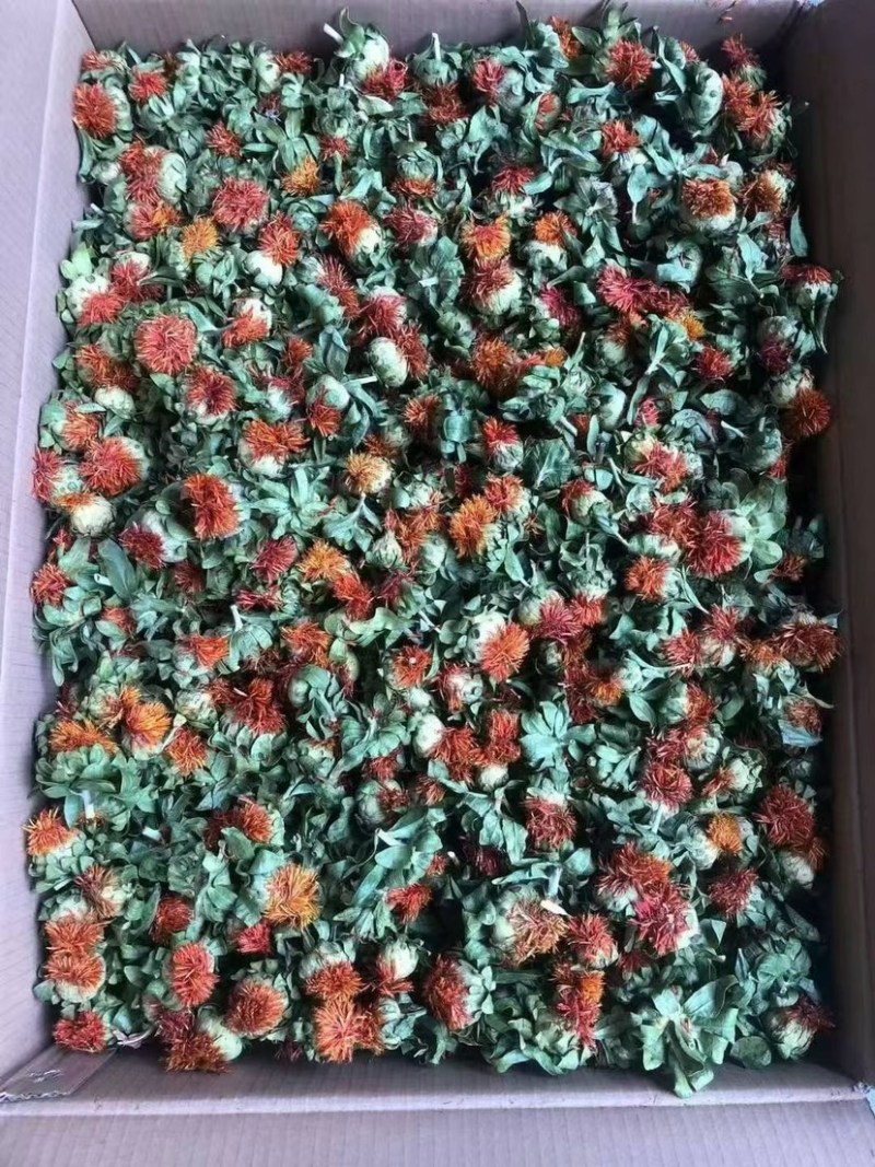 红花朵红花果地摊展销会货源橙菠萝长丝花西红花草红花刺红花