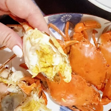 江苏精品肉蟹膏蟹（公母同价）需要的联系我