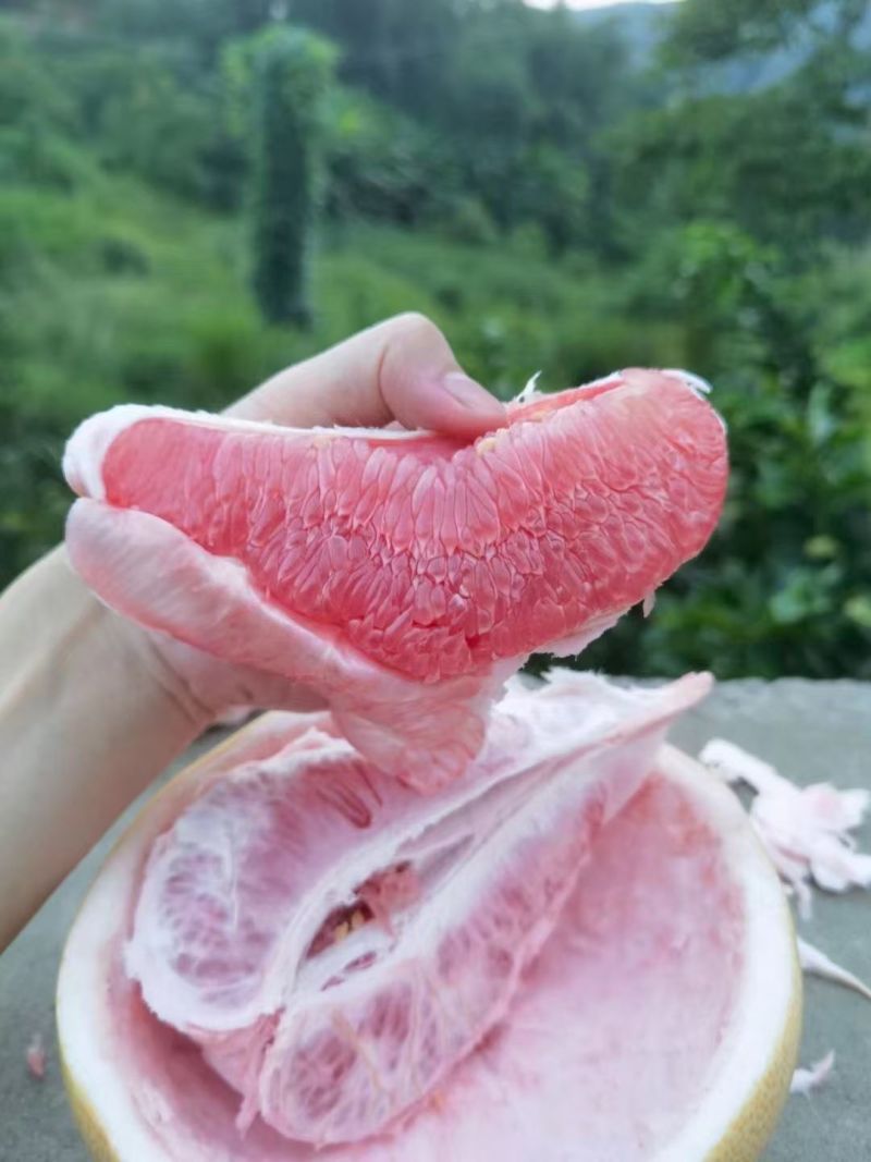梅州红心蜜柚