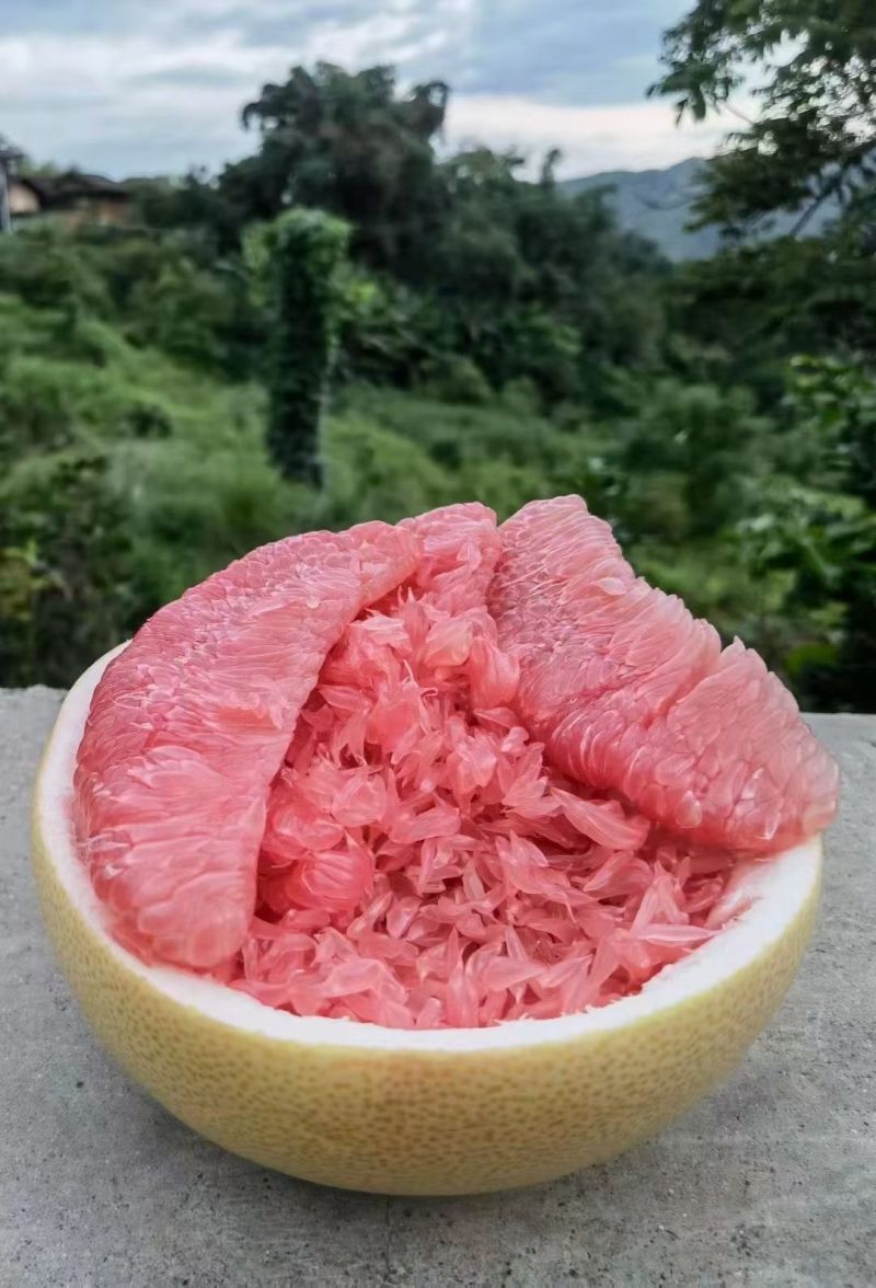 梅州红心蜜柚