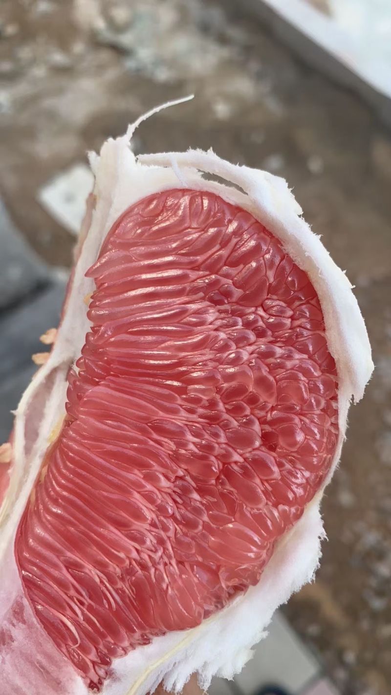 梅州红心蜜柚