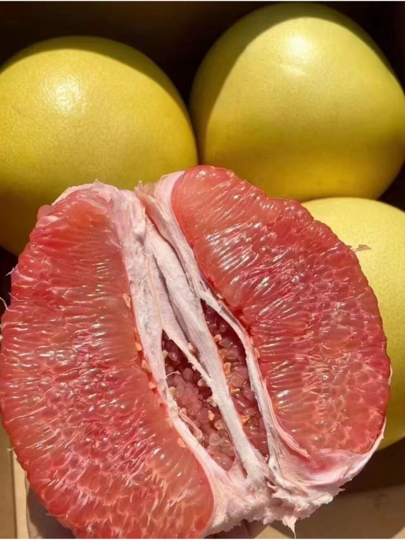 梅州红心蜜柚