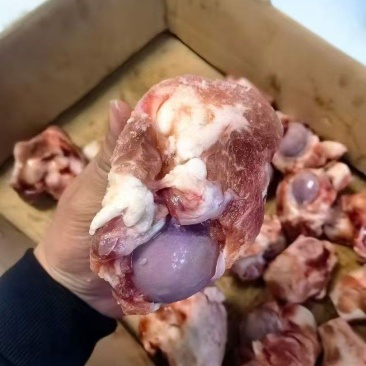 满肉大棒骨