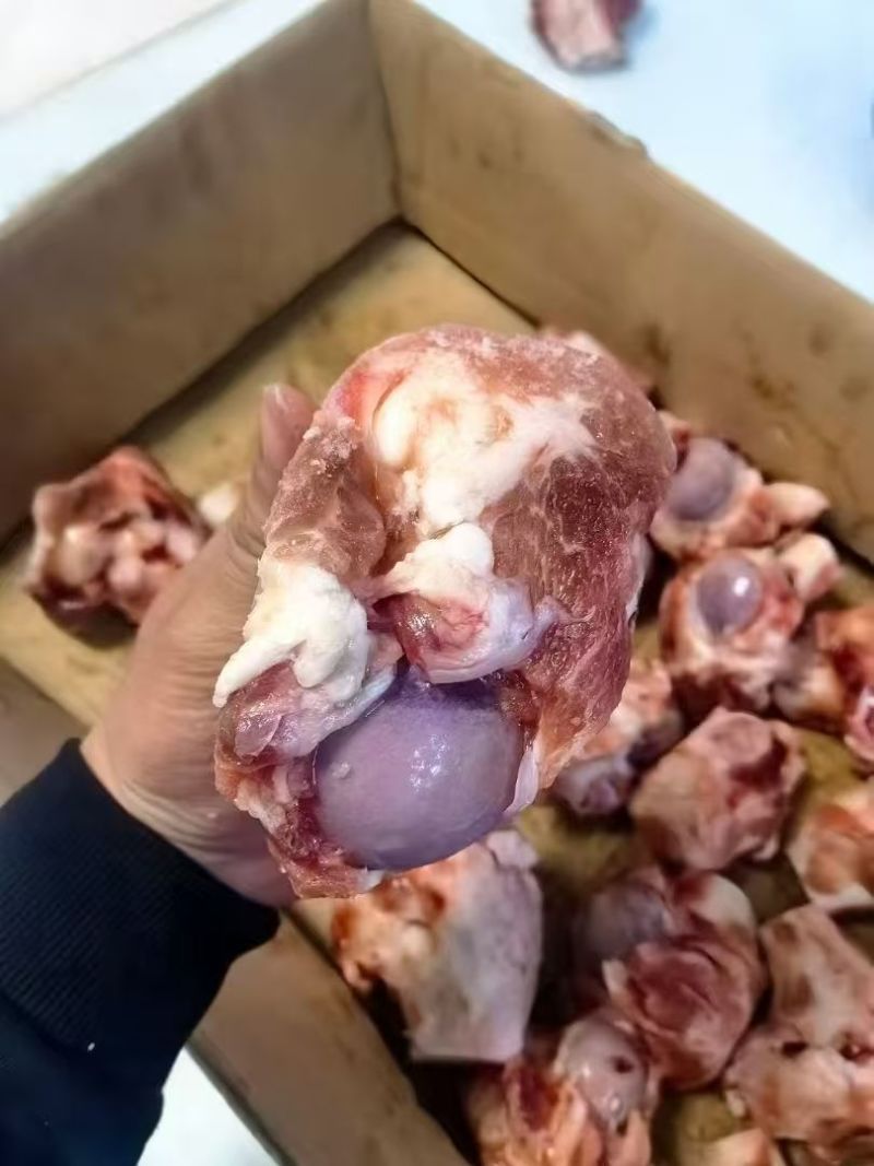 满肉大棒骨