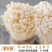 金针菇出菇菌棒纯棉籽壳熟料2茬菇出菜2斤以上