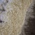 金针菇出菇菌棒纯棉籽壳熟料2茬菇出菜2斤以上
