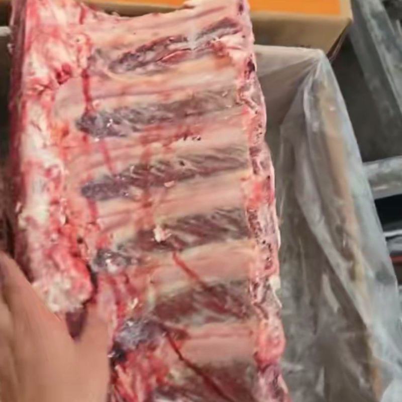 牛肋眼骨