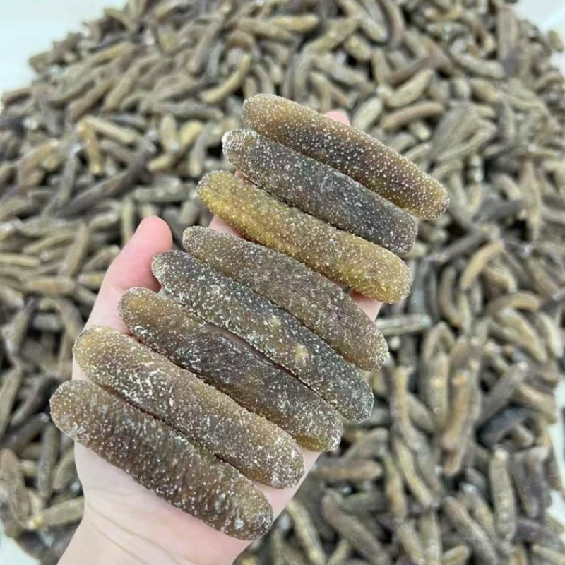 海参沙秃参非洲秃参黄金秃参金沙参淡干品质滋补食材送礼佳品