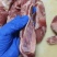 短腹肉条