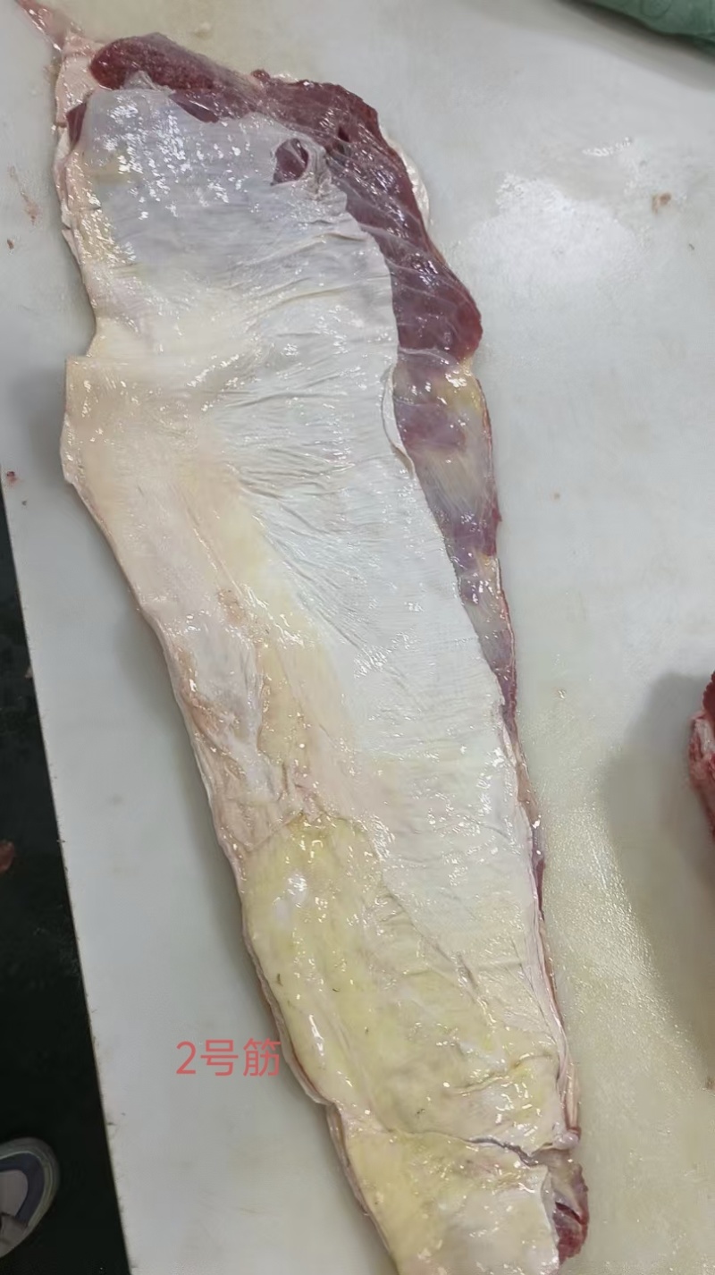 2号筋