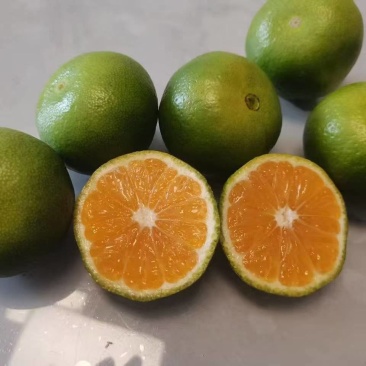 四川资阳特早蜜桔