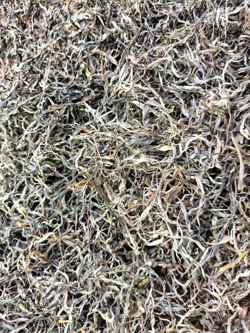 古树普洱茶