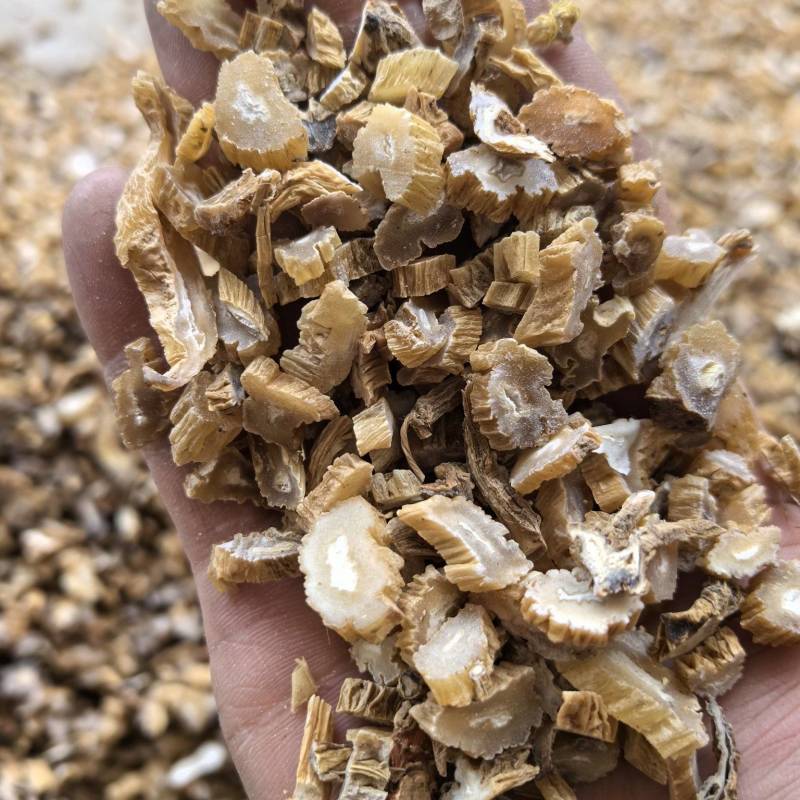 中药材特级野生百部正品新货百部草百部粉百部【包邮】