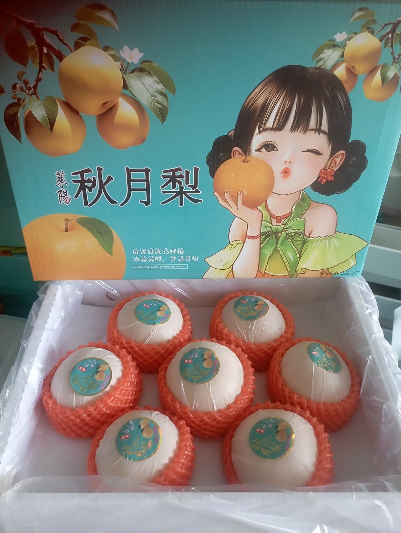 秋月梨一件代发山东莱阳电商微商抖音直播企业采团购礼品盒装