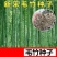 新采摘大型毛竹种子生长快江南竹茅竹楠竹黄竹食用竹笋竹子