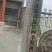 鲜面条