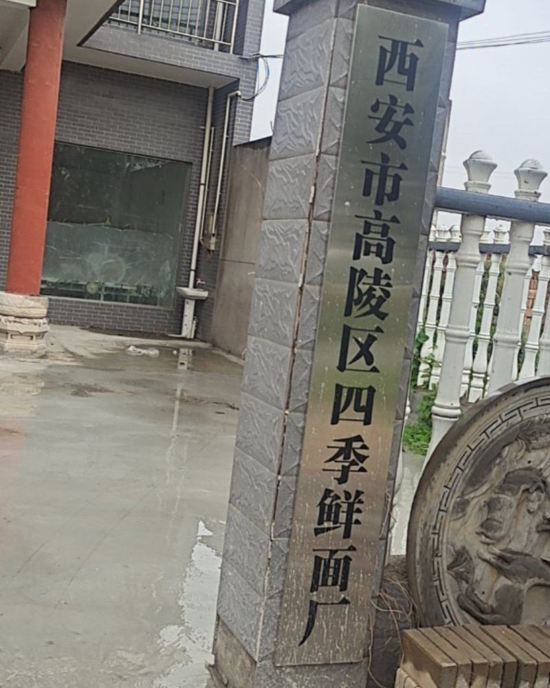 鲜面条