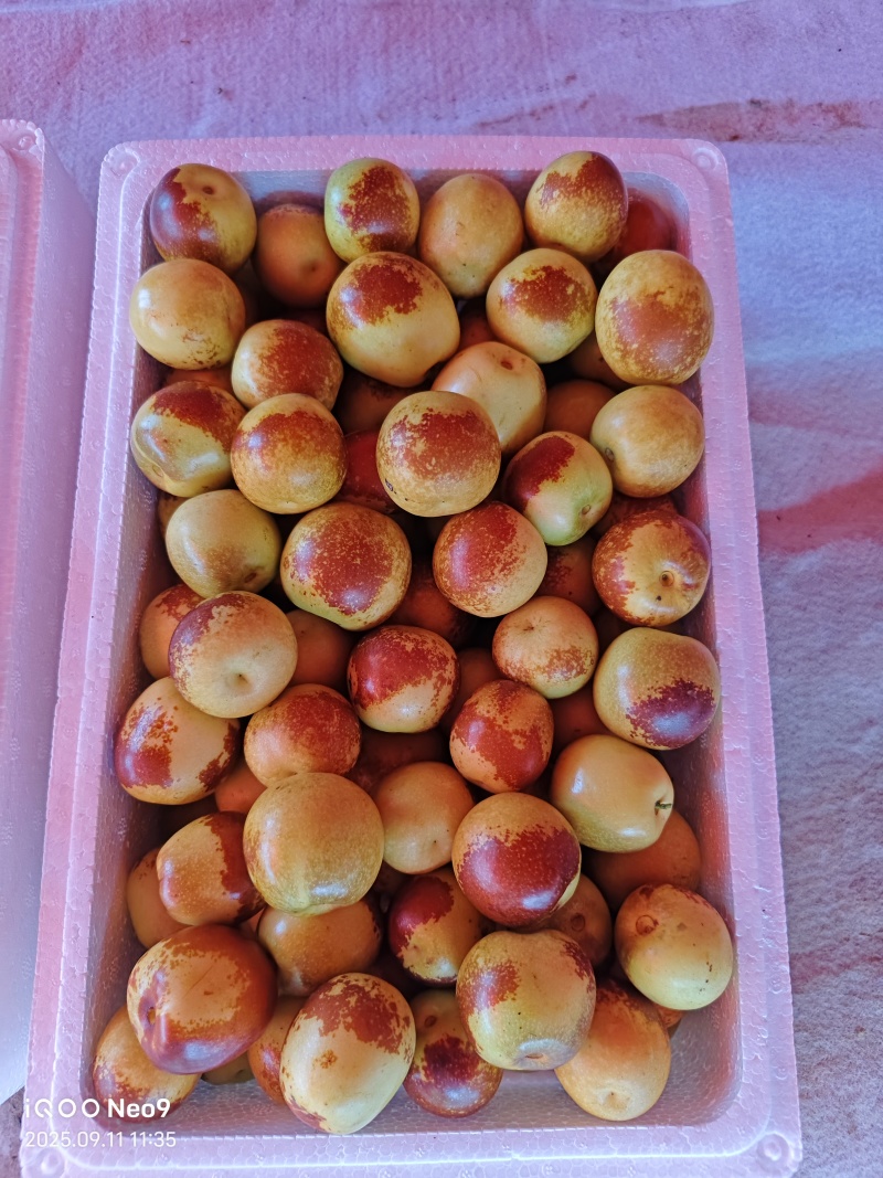 颗颗精选，对接电商的大老板们，我直接坐地头上给你们发货