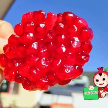 石榴批发
