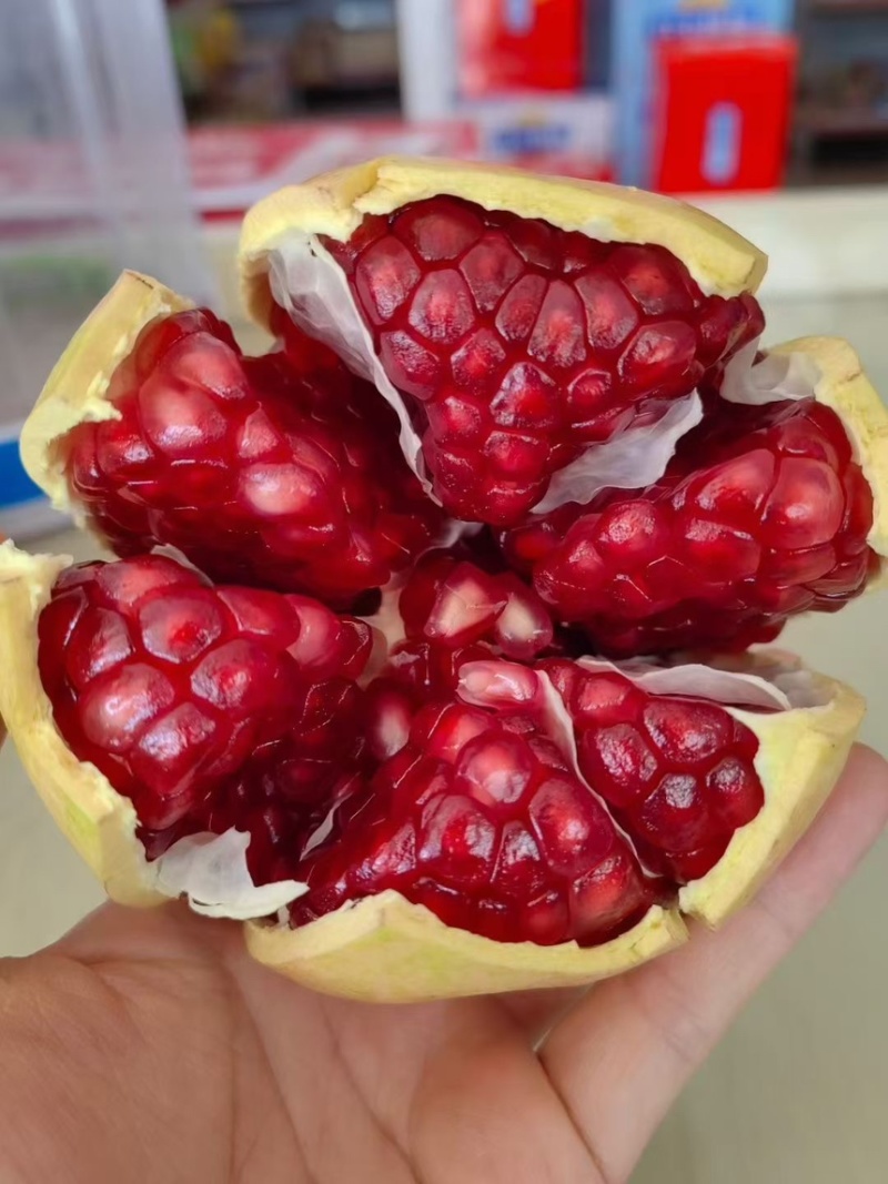 石榴批发