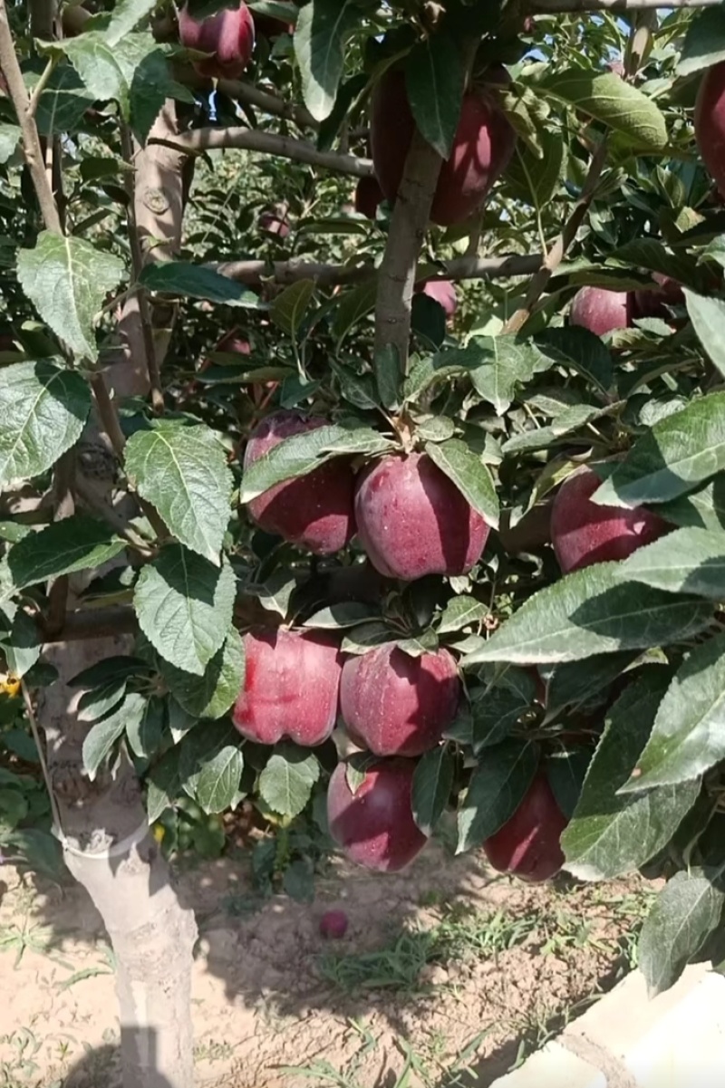 现货