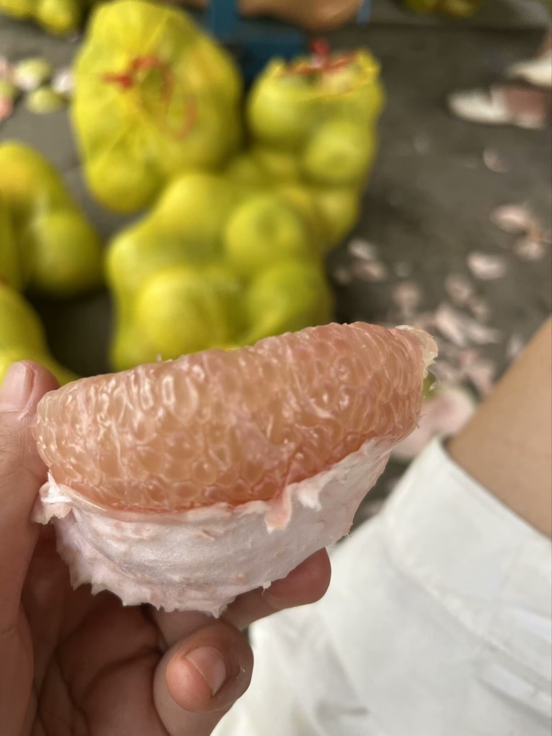 度尾红心文旦柚，老爸种，我来卖，产地直供！