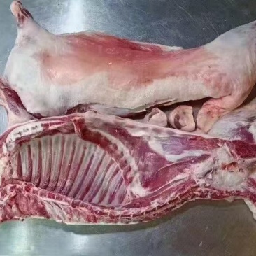 宁夏滩羊肉