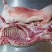 宁夏滩羊肉