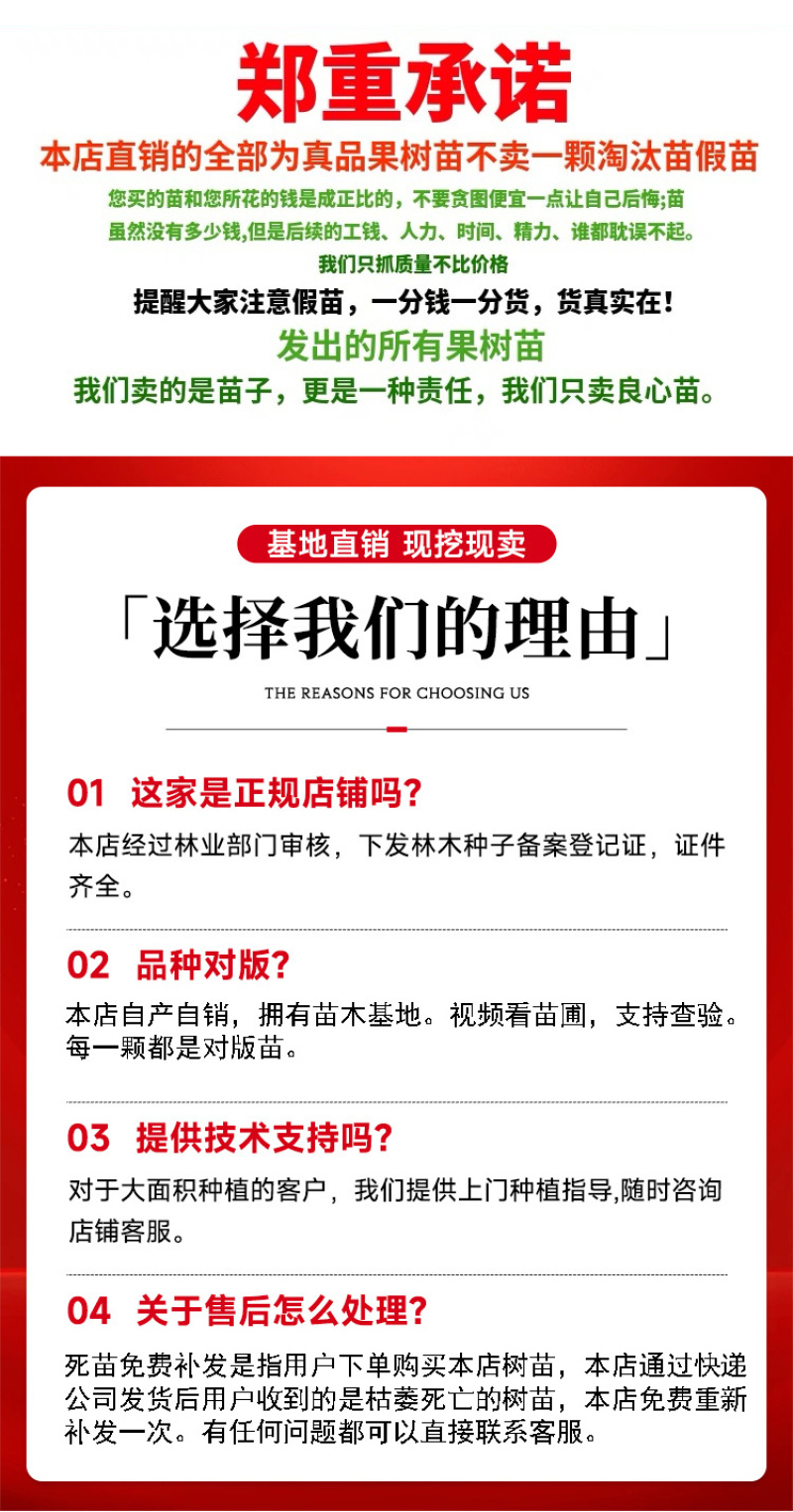 基地直销巴旦木苗巴旦杏扁桃苗南北方种植地栽美国大杏仁包邮
