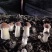 新疆伊犁尼勒克山水育珍品赤松茸