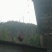 云南土鸡/本地鸡/无骨鸡/高脚鸡