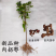 拐枣树苗拐子树万寿果鸡爪连金沟梨南北方种植果树苗盆栽地栽