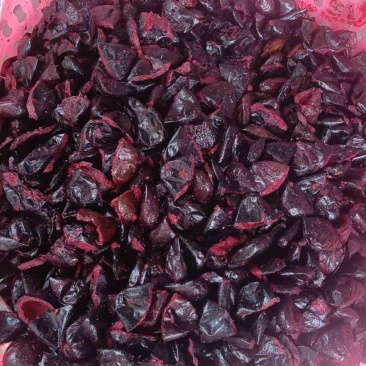 黑榄角，广西黑榄角，乌榄油榄皮薄肉香欢迎选购
