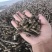 河南南阳艾草颗粒秸秆类原料源头供应牛羊养殖户