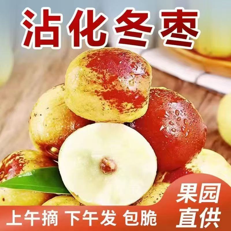 山东沾化冬枣