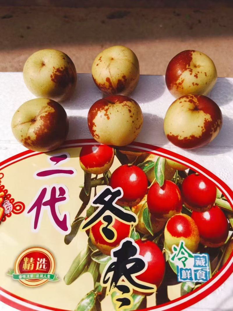 山东沾化冬枣