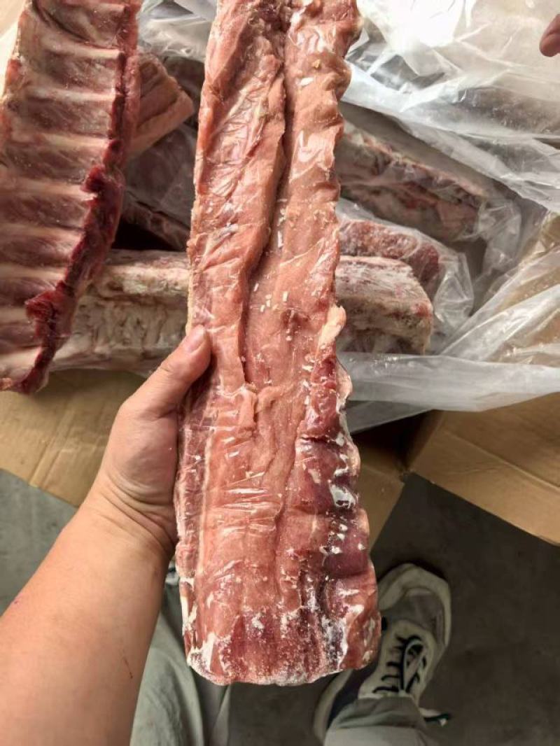 龙骨