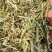 花生秧草段羊草